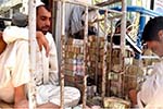 تاجران و صرافان نيمروز:  بانكهاى خصوصى به آنها پول نمى دهند